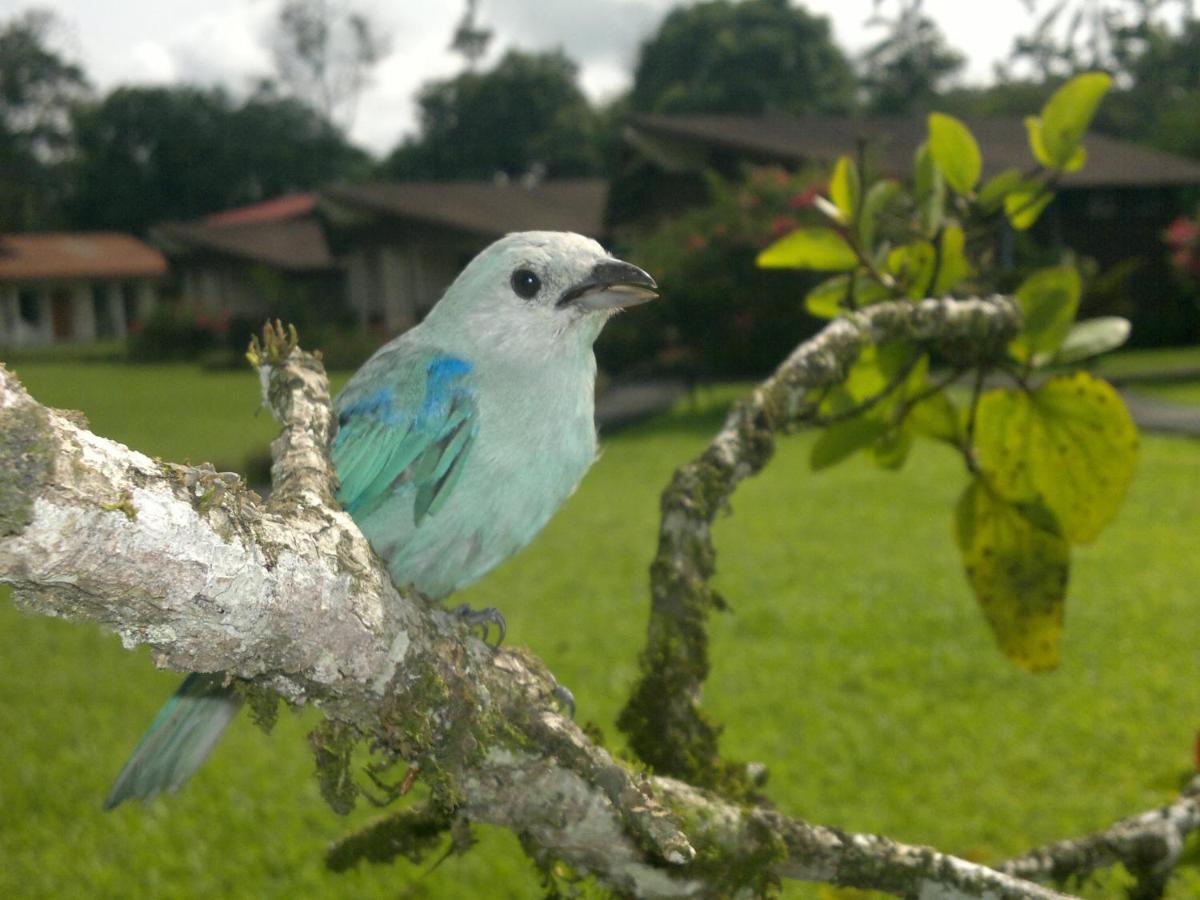 Hotel Eco Arenal La Fortuna Номер фото